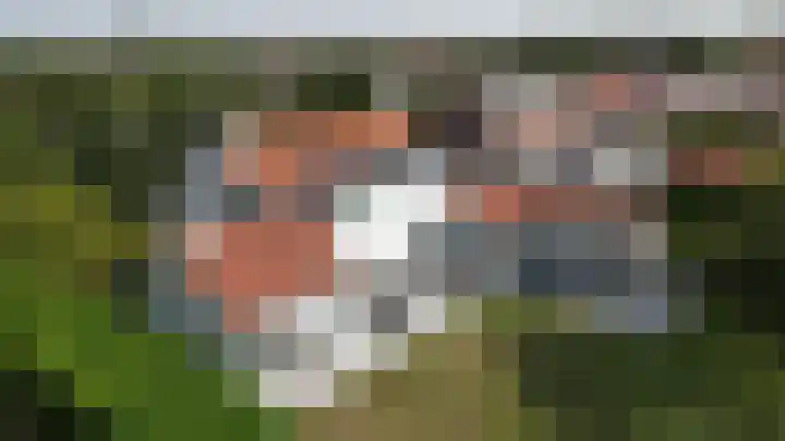 Molenweg 81 Arnemuiden thumbnail 4
