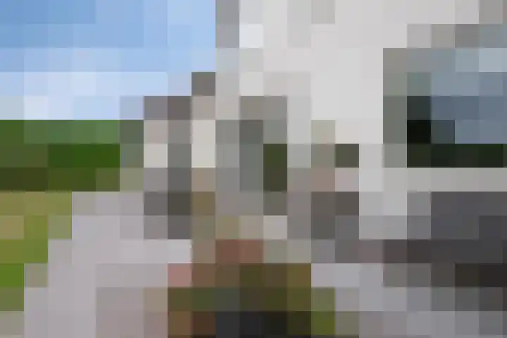 Molenweg 81 Arnemuiden thumbnail 55