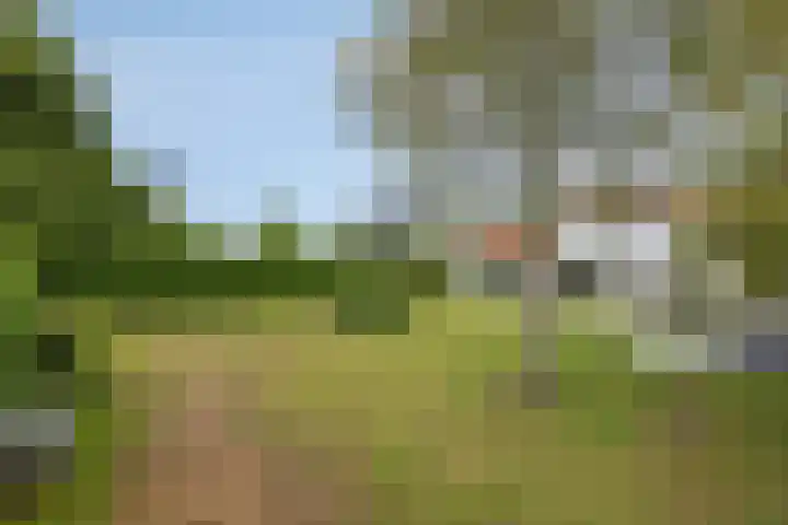 Molenweg 81 Arnemuiden thumbnail 58