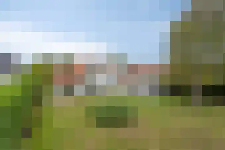 Molenweg 81 Arnemuiden thumbnail 6
