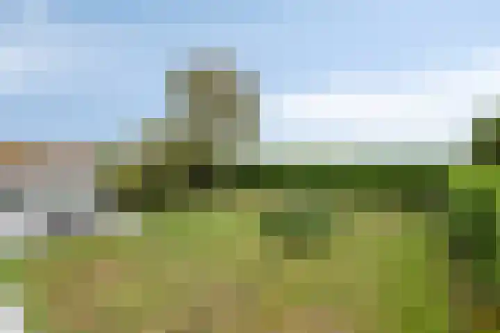Molenweg 81 Arnemuiden thumbnail 60