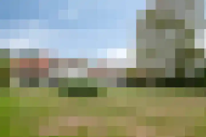 Molenweg 81 Arnemuiden thumbnail 61