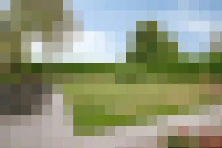 Molenweg 81 Arnemuiden thumbnail 62