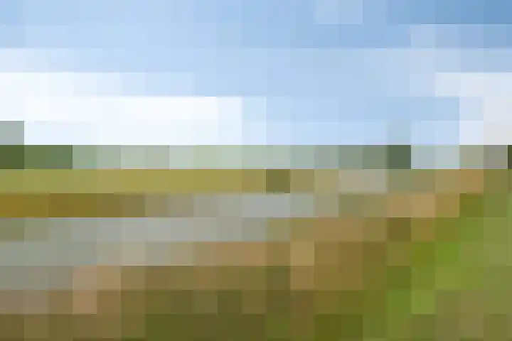 Molenweg 81 Arnemuiden thumbnail 63