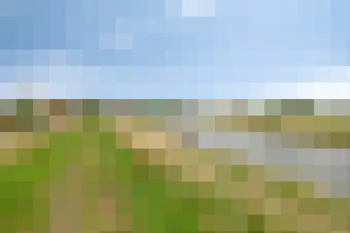 Molenweg 81 Arnemuiden thumbnail 64