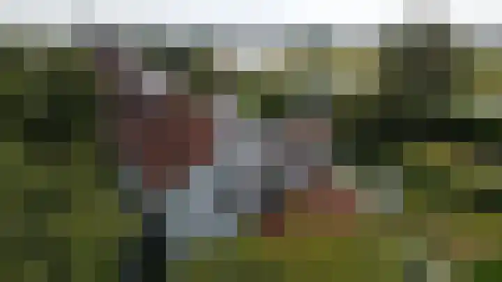 Molenweg 81 Arnemuiden thumbnail 67