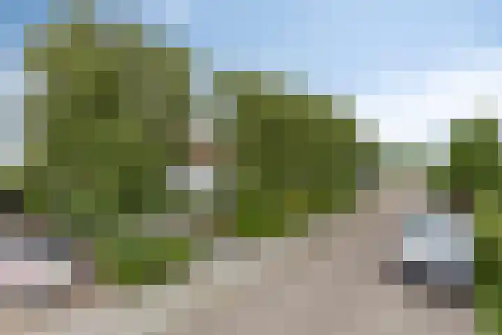 Molenweg 81 Arnemuiden thumbnail 68