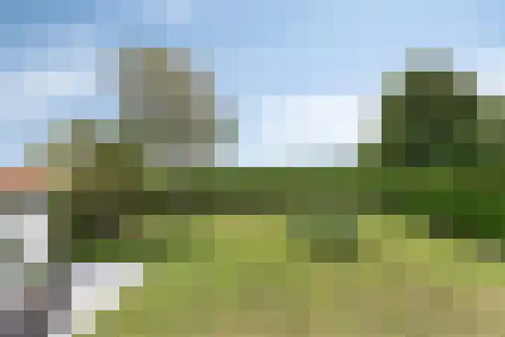Molenweg 81 Arnemuiden thumbnail 7