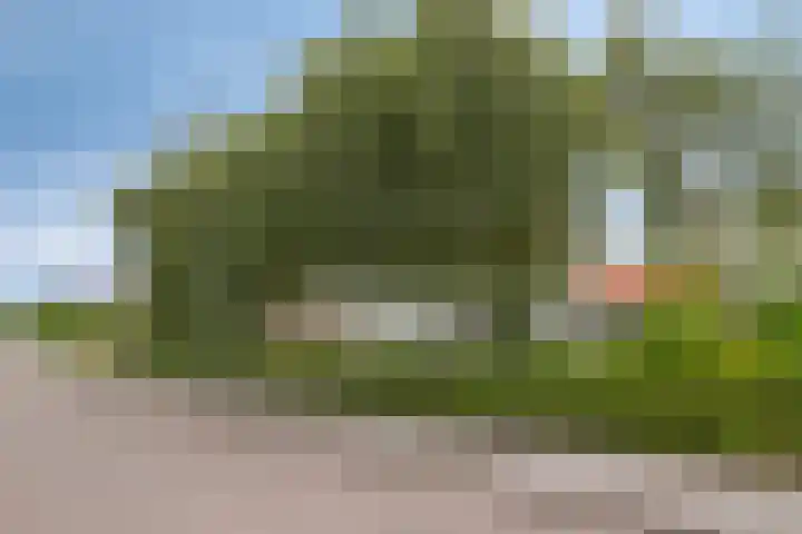 Molenweg 81 Arnemuiden thumbnail 70