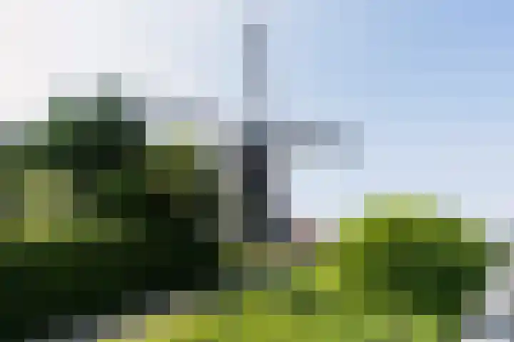 Molenweg 81 Arnemuiden thumbnail 71