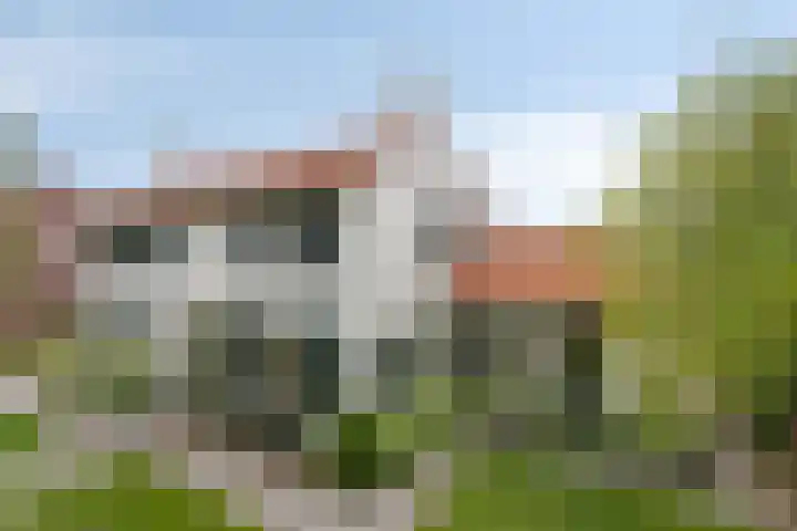Molenweg 81 Arnemuiden thumbnail 8