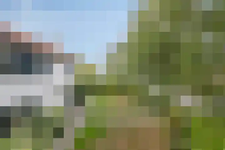 Molenweg 81 Arnemuiden thumbnail 9