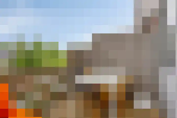 Molenweg 82 Nijmegen thumbnail 18