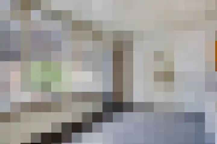 Molenweg 84 Berghem thumbnail 11