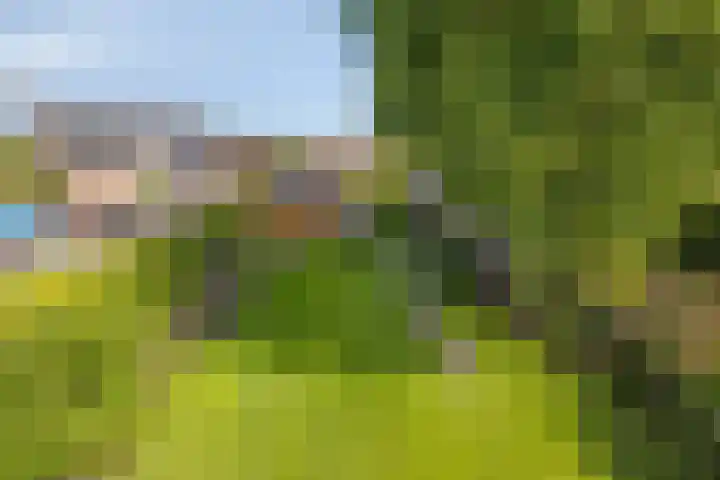 Molenweg 84 Berghem thumbnail 20