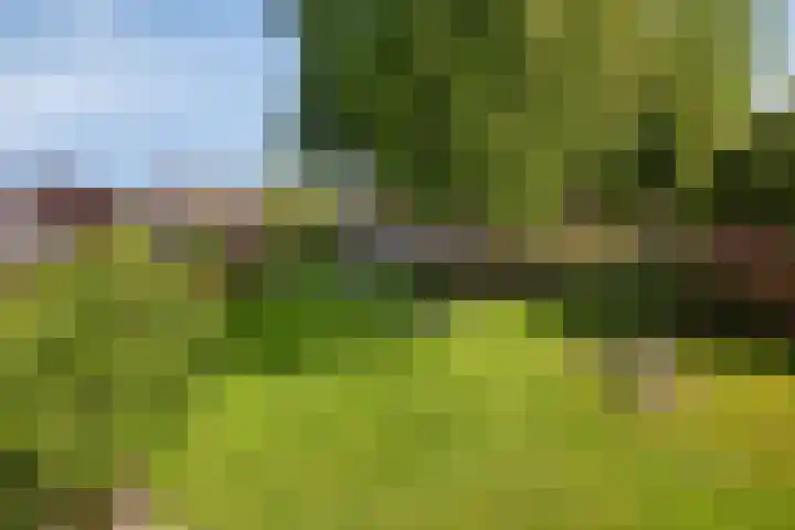 Molenweg 84 Berghem thumbnail 21