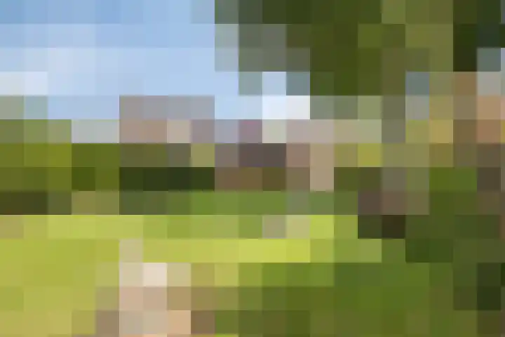 Molenweg 84 Berghem thumbnail 22