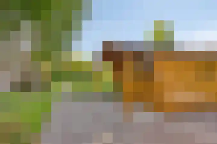 Molenweg 84 Berghem thumbnail 23