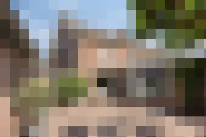 Molenweg 84 Berghem thumbnail 25