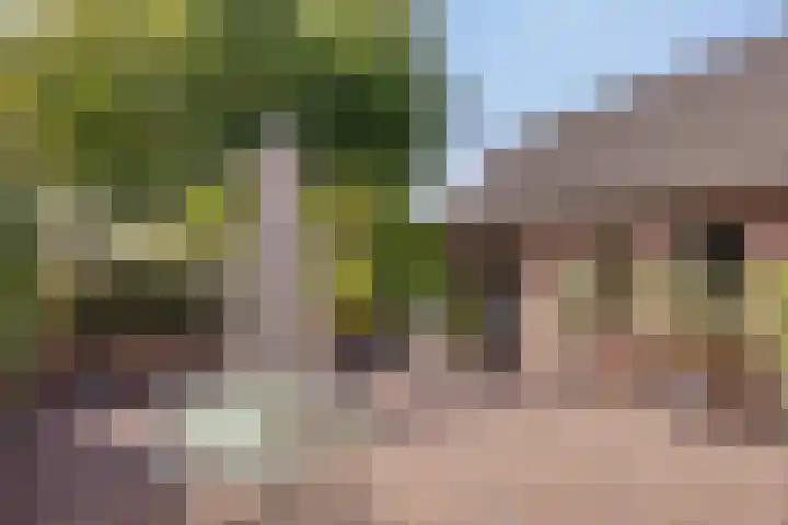 Molenweg 84 Berghem thumbnail 26
