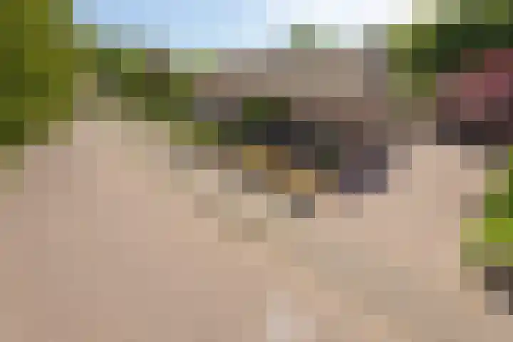 Molenweg 84 Berghem thumbnail 30