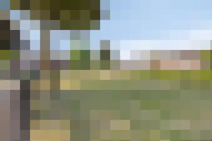 Molenweg 84 Berghem thumbnail 34