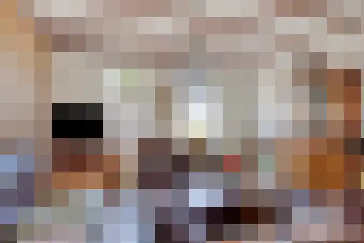 Molenweg 84 Berghem thumbnail 4