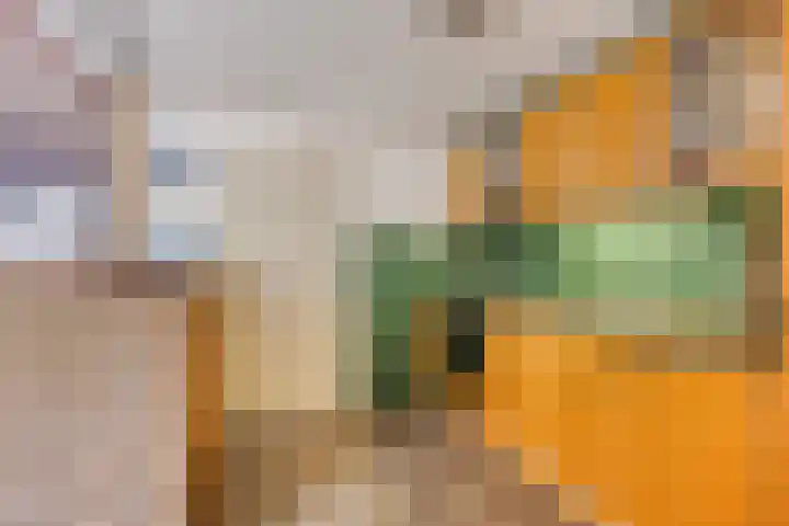 Molenweg 84 Berghem thumbnail 7