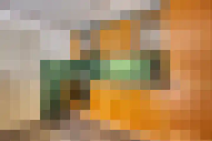 Molenweg 84 Berghem thumbnail 9