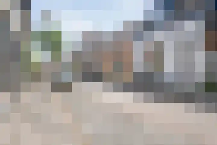 Molenweg 85 Zwolle thumbnail 4