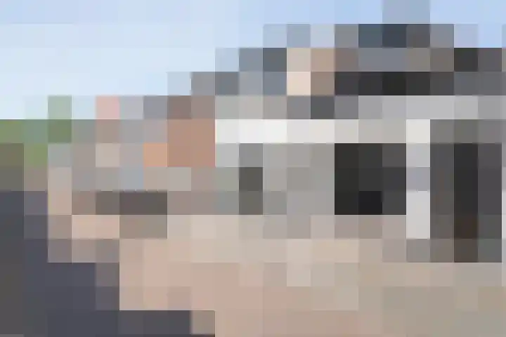 Molenweg 85 Zwolle thumbnail 5