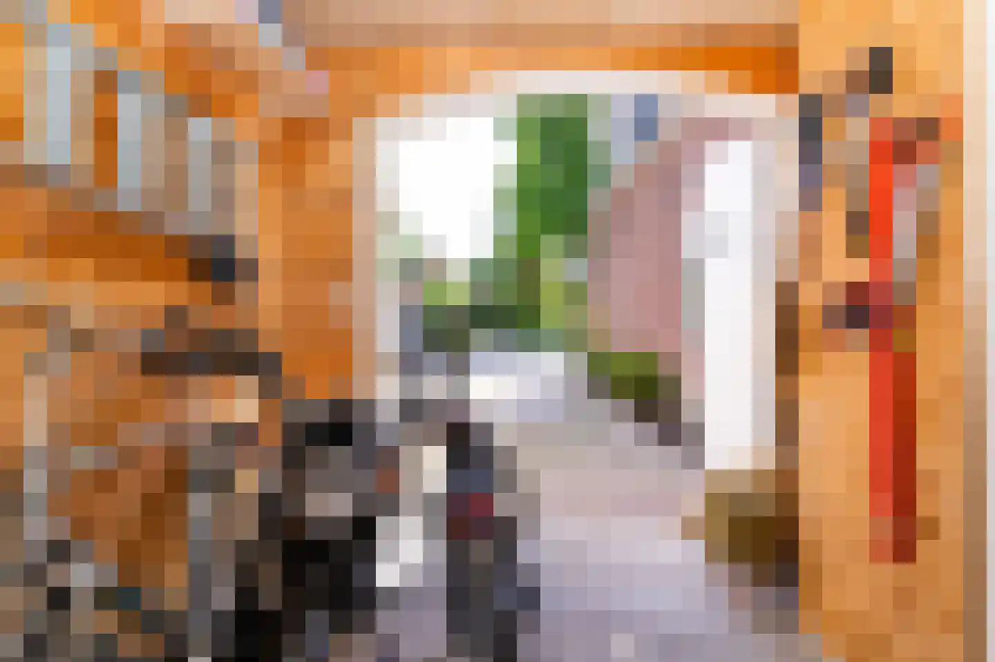 Molenweg 86 Wijdenes thumbnail 12