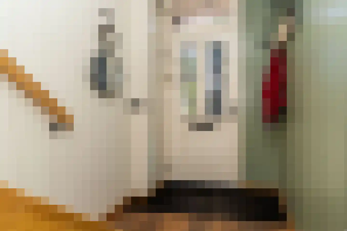 Molenweg 86 Wijdenes thumbnail 16