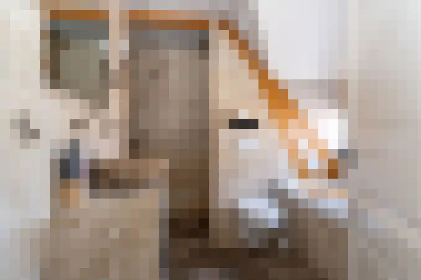 Molenweg 86 Wijdenes thumbnail 19