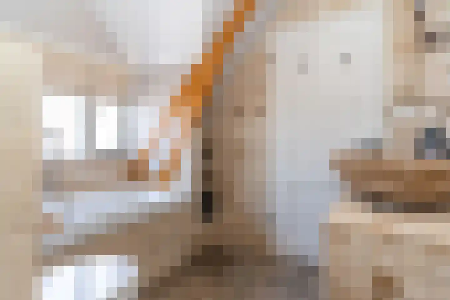 Molenweg 86 Wijdenes thumbnail 21