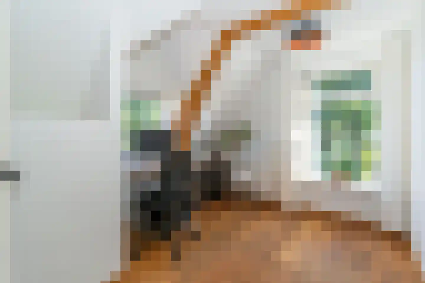 Molenweg 86 Wijdenes thumbnail 22