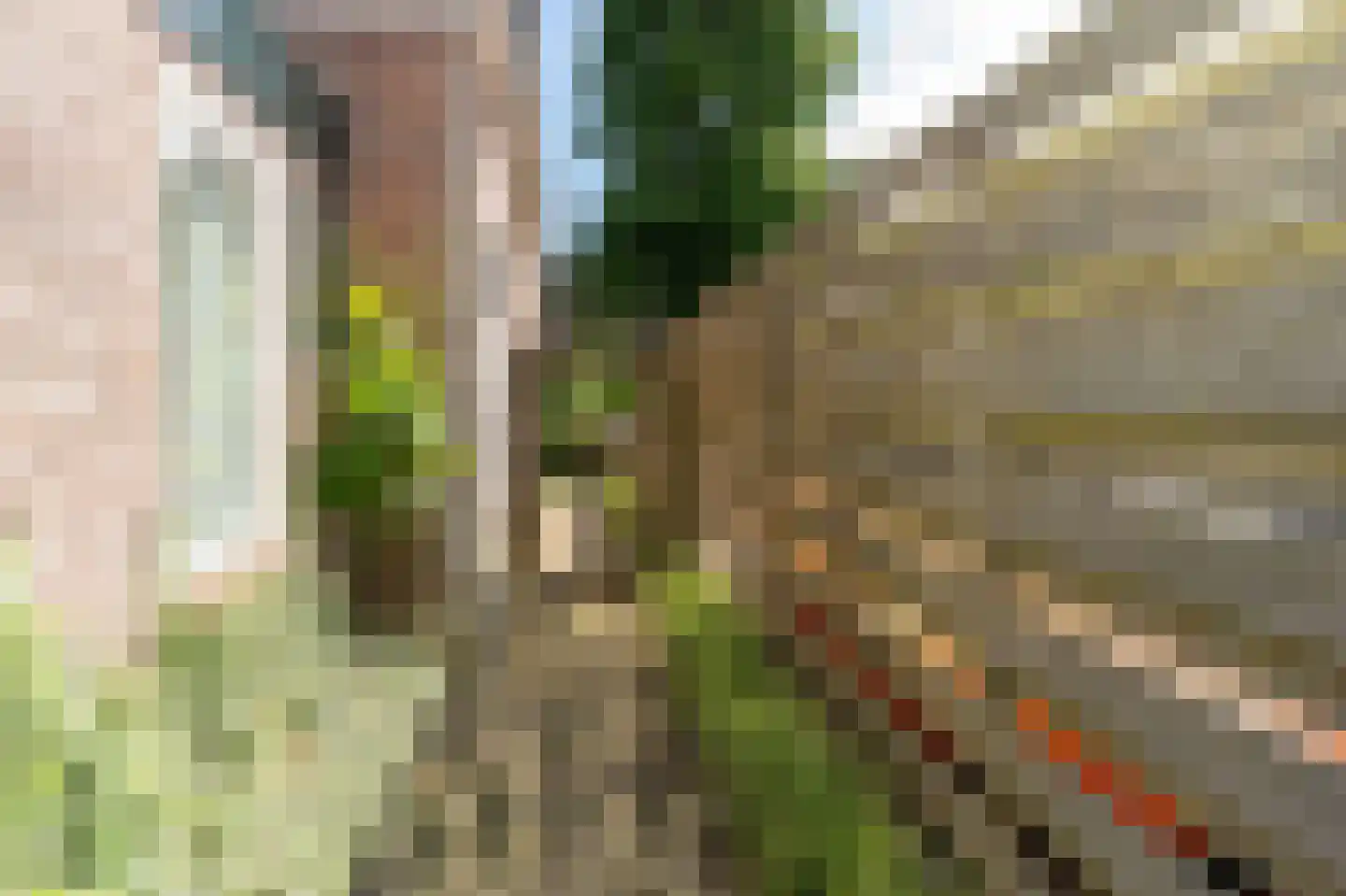 Molenweg 86 Wijdenes thumbnail 37