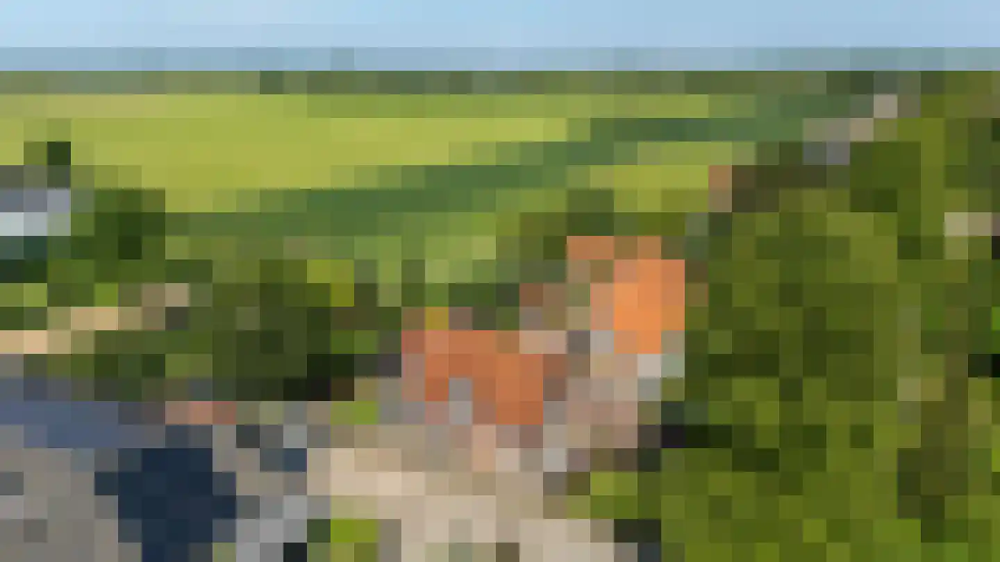 Molenweg 86 Wijdenes thumbnail 41