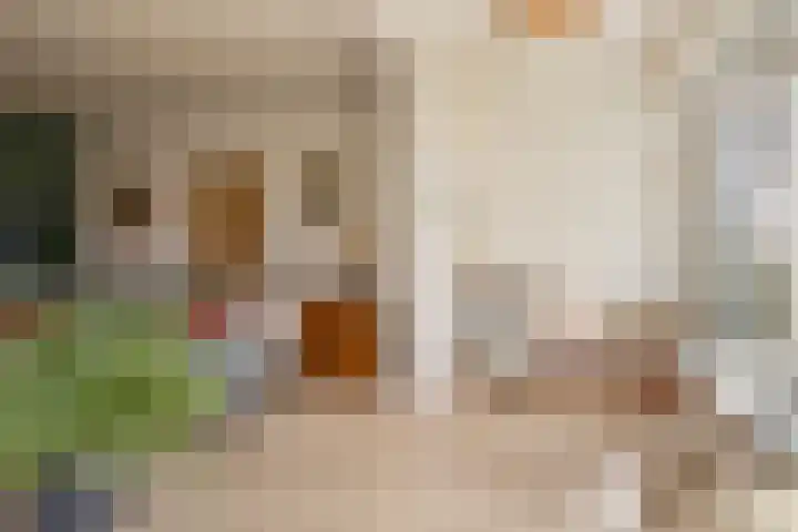 Molenweg 9 Dreischor thumbnail 10
