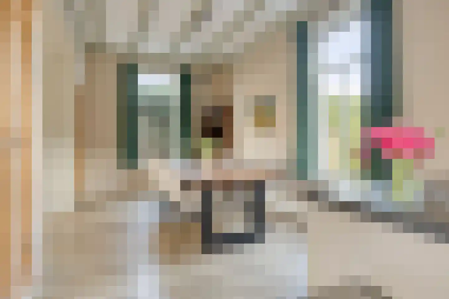 Molenweg 9 Dreischor thumbnail 16