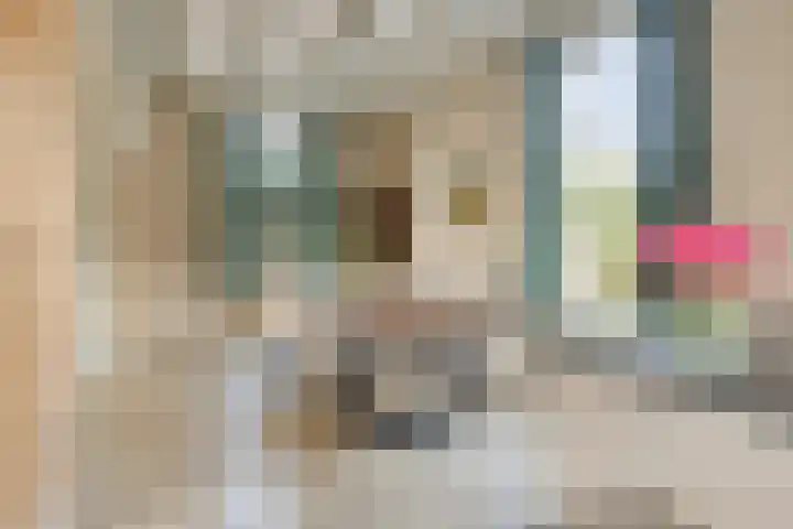 Molenweg 9 Dreischor thumbnail 16