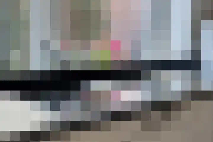 Molenweg 9 Dreischor thumbnail 20