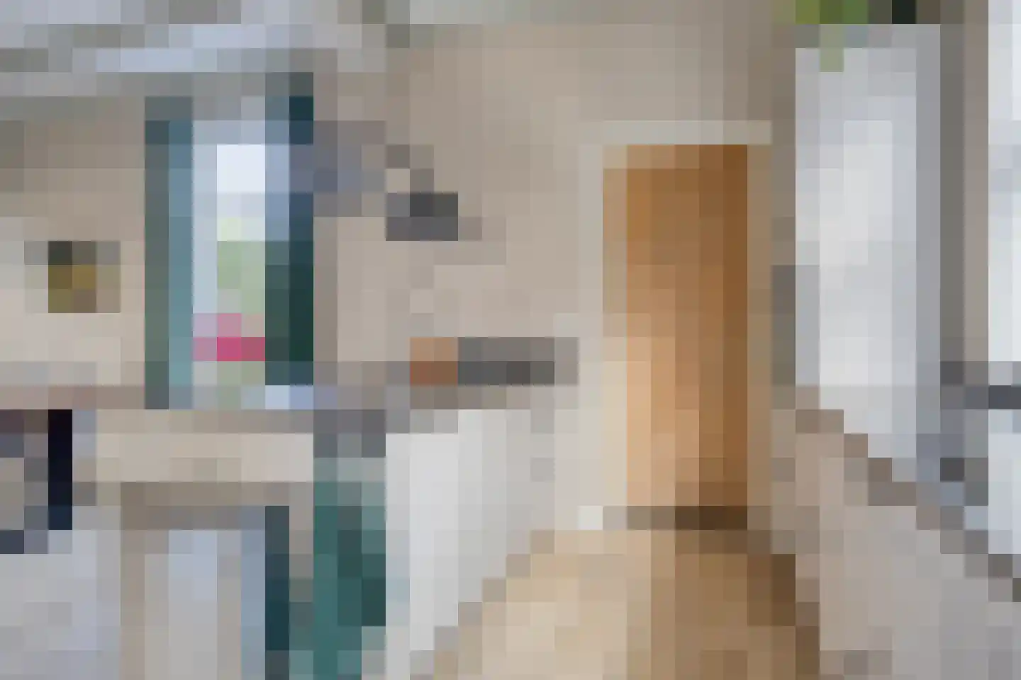 Molenweg 9 Dreischor thumbnail 21