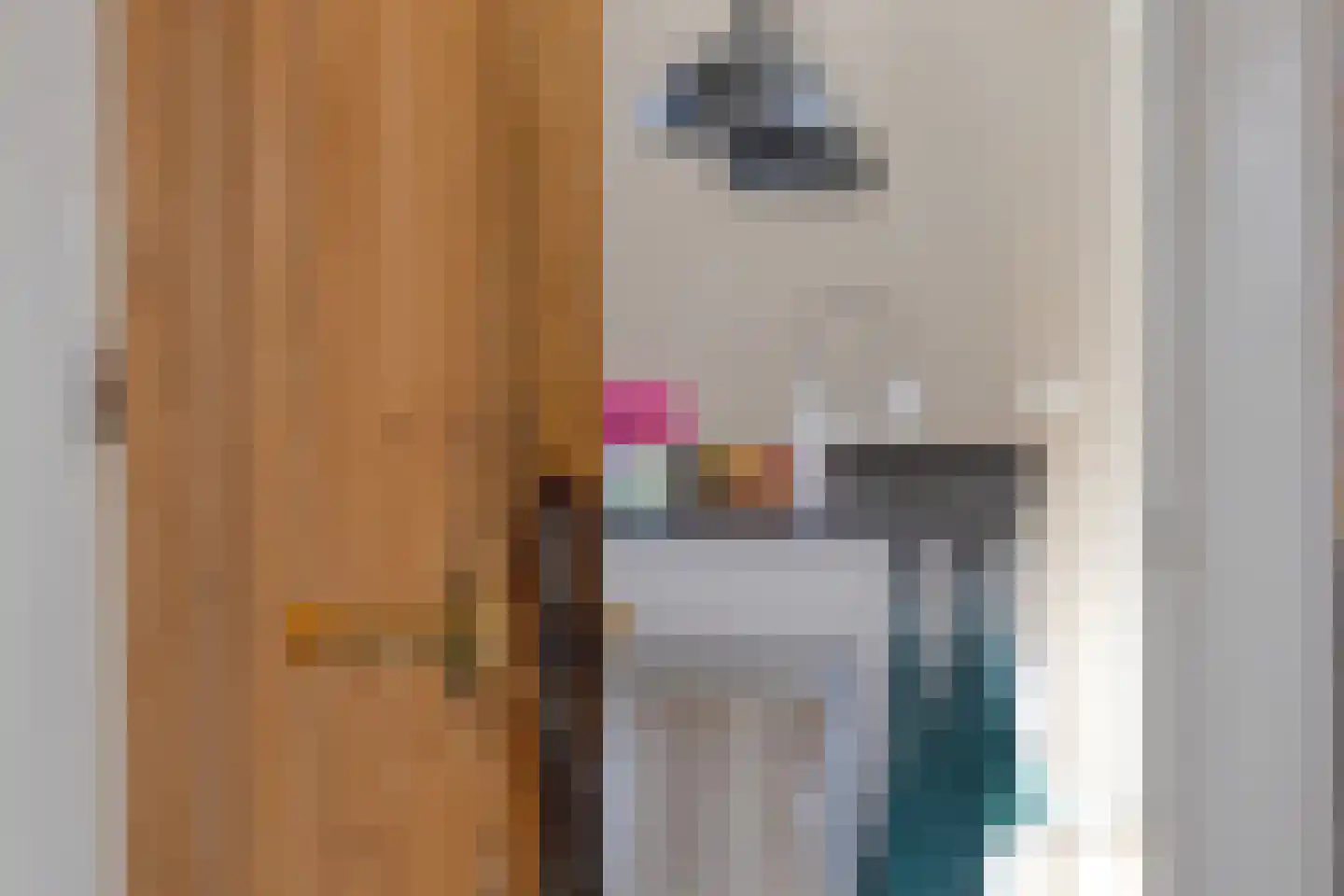 Molenweg 9 Dreischor thumbnail 22