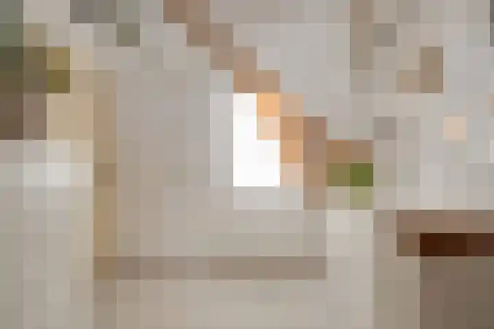 Molenweg 9 Dreischor thumbnail 29