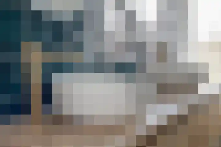 Molenweg 9 Dreischor thumbnail 34