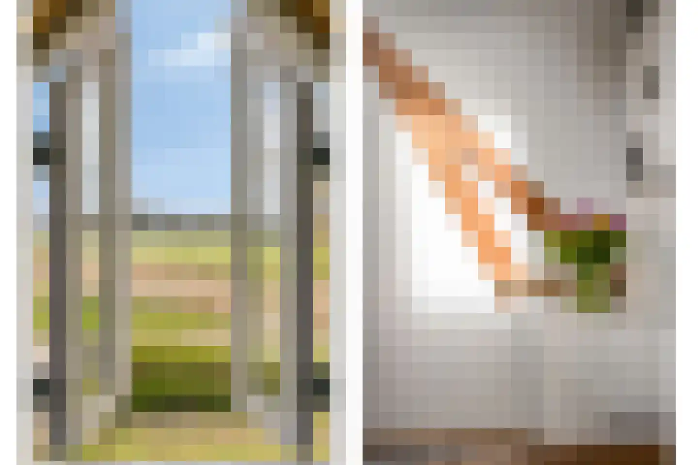 Molenweg 9 Dreischor thumbnail 38