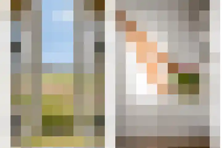 Molenweg 9 Dreischor thumbnail 38