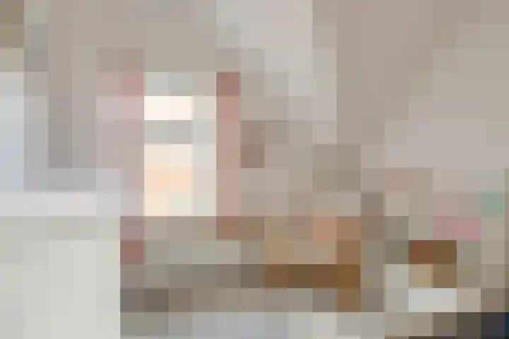 Molenweg 9 Dreischor thumbnail 41