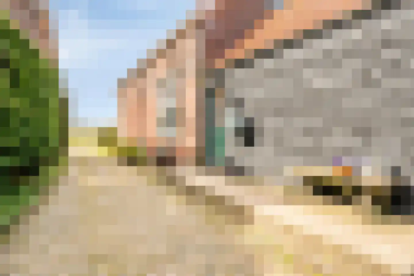 Molenweg 9 Dreischor thumbnail 43
